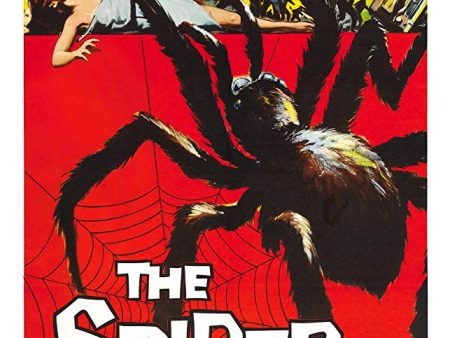 Earth Vs. The Spider (1958) - Ed Kemmer Fashion